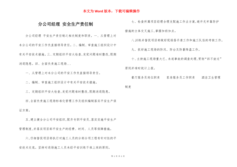 分公司经理 安全生产责任制.docx_第1页