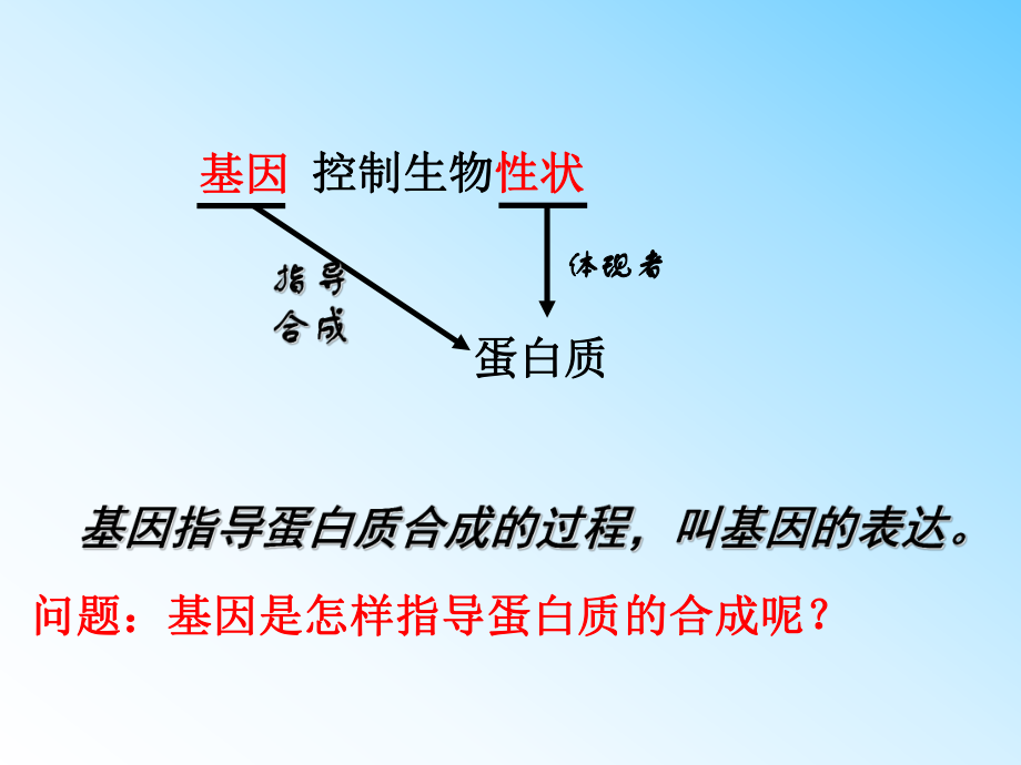 基因指导蛋白质合成的过程ppt课件.ppt_第1页