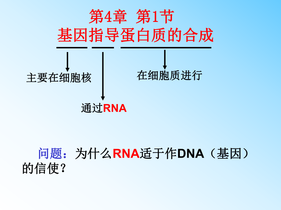 基因指导蛋白质合成的过程ppt课件.ppt_第2页