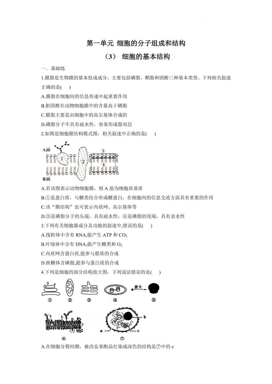 新高考生物一轮复习练习（3）细胞的基本结构 .docx_第1页