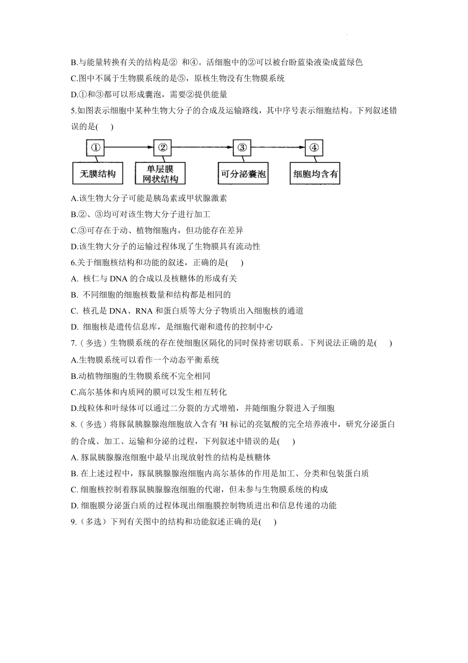 新高考生物一轮复习练习（3）细胞的基本结构 .docx_第2页