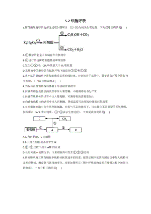 5.2细胞呼吸同步课时作业--高一上学期生物北师大版必修1.docx