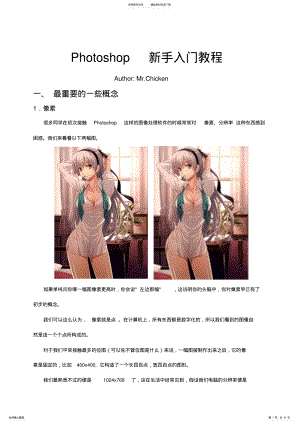 2022年Photoshop菜鸟入门教程 .pdf