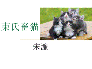 束氏蓄猫.ppt