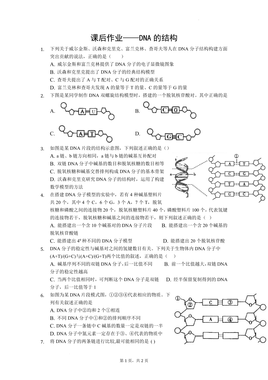 3.2DNA的结构随堂作业--高一下学期生物人教版必修2.docx_第1页