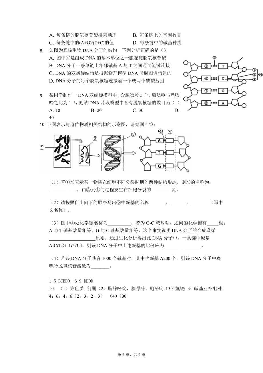 3.2DNA的结构随堂作业--高一下学期生物人教版必修2.docx_第2页