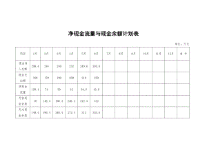 餐饮酒店4D现场管理规范标准工具 财务管理报表 26.净现金流量与现金余额计划表.doc