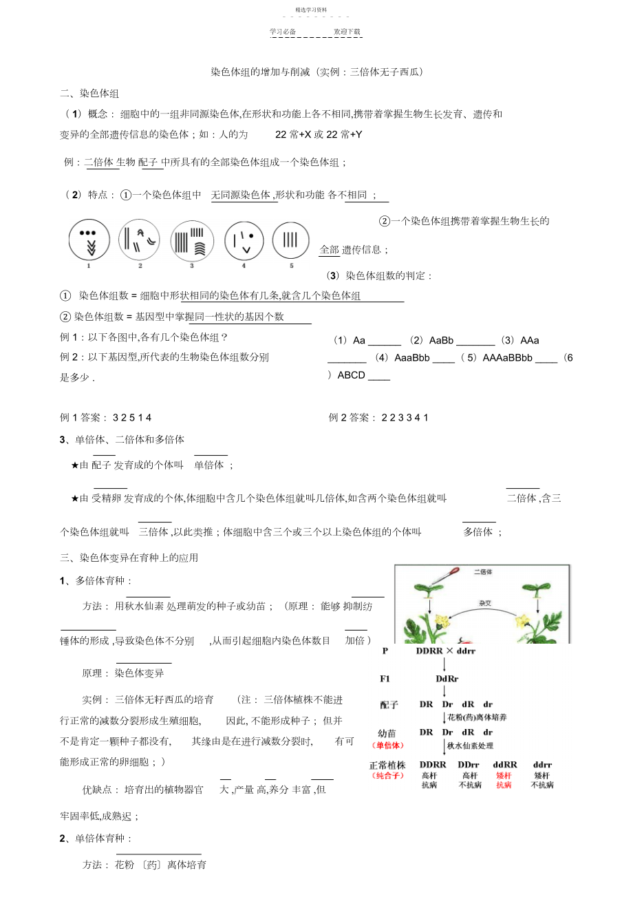 2022年第五章基因突变及其他变异.docx_第2页