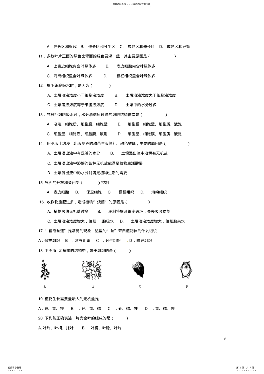 2022年七年级生物上学期第二次月考试题 .pdf_第2页