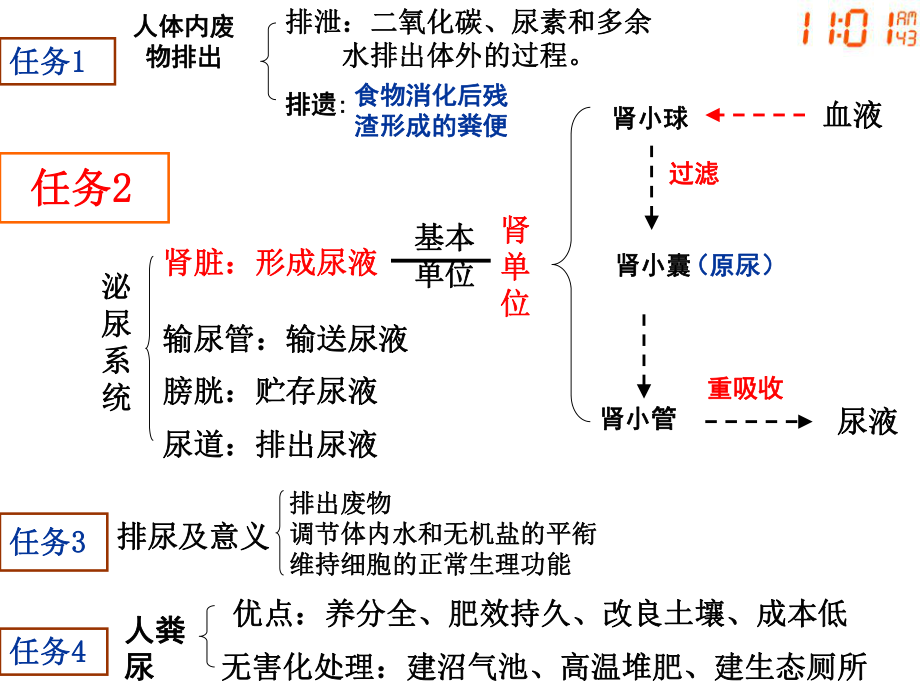 七年级下册《人体内废物的排出》ppt课件.ppt_第2页