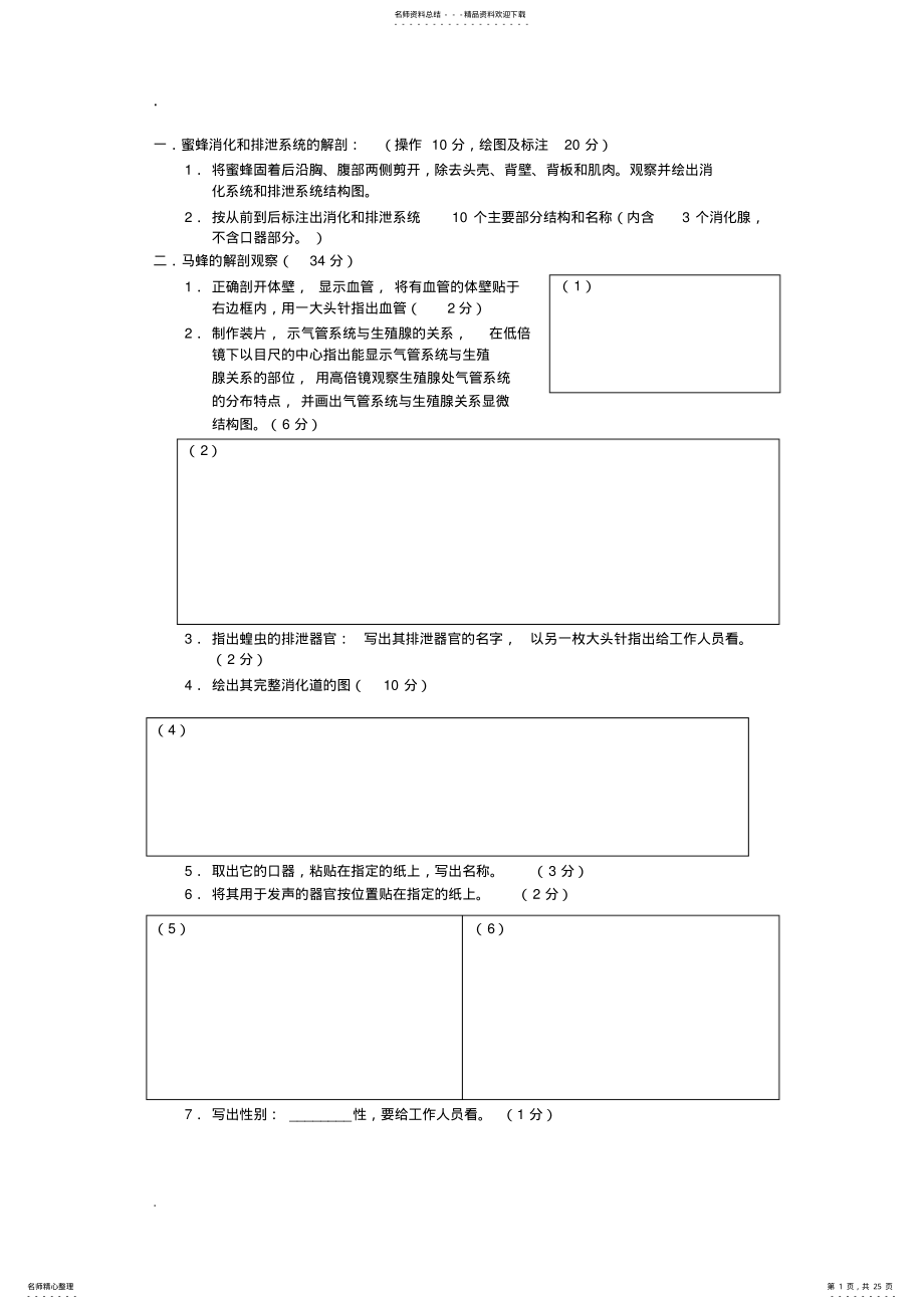 2022年蜜蜂消化和排泄系统的解剖 .pdf_第1页