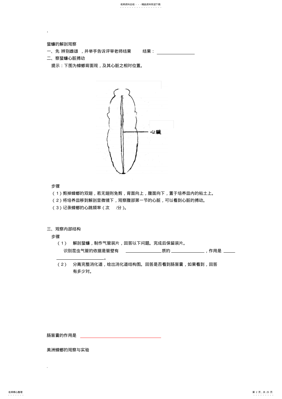 2022年蜜蜂消化和排泄系统的解剖 .pdf_第2页