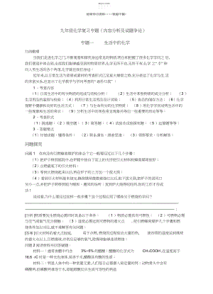 2022年九年级化学复习专题.docx