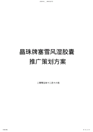 2022年药品的推广策划方案 .pdf