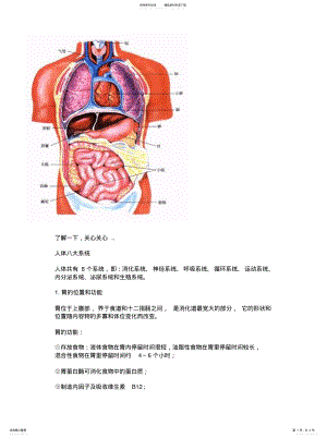 2022年人体内脏大体解剖图 .pdf