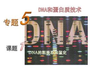 DNA的提取与鉴定讲解ppt课件.ppt