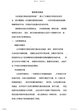 2022年营销策划报告 .pdf