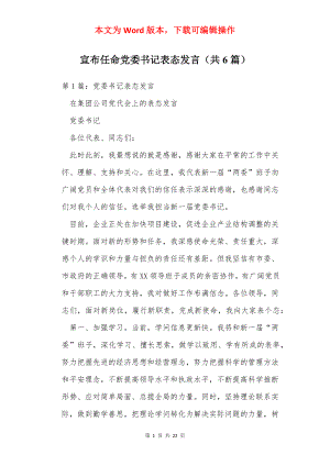 宣布任命党委书记表态发言（共6篇）.docx