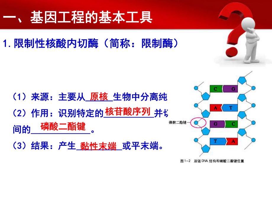 专题1-基因工程(一轮复习)ppt课件.ppt_第2页