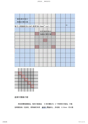 2022年血球计数板使用方法 .pdf