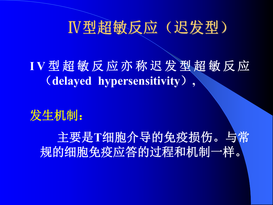 IV型超敏反应ppt课件.ppt_第1页