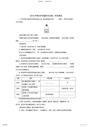 2022年中考化学专题针对训练：科学探究 .pdf