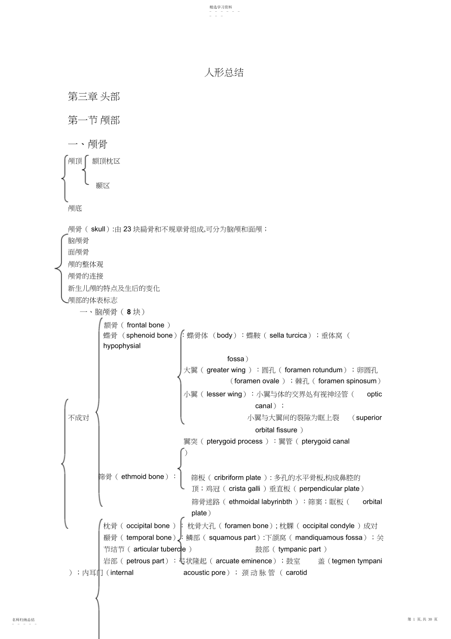 2022年人体形态学知识点总结.docx_第1页