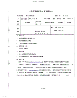 2022年网络营销实务实验一：网络营销环境分析 .pdf