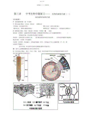 2022年中考生物专题复习生物的新陈代谢--绿色植物的新陈代谢.docx