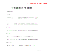 NSN岗位职责NSN职责任职要求.docx