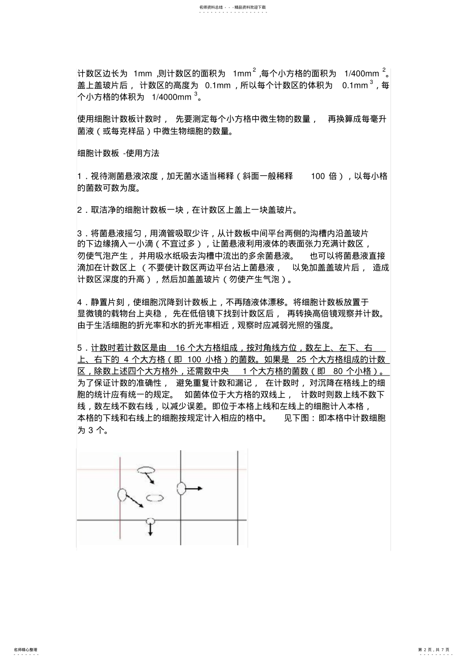 2022年细胞计数板使用方法 .pdf_第2页