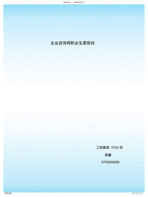 2022年企业咨询师职业生涯规划 .pdf