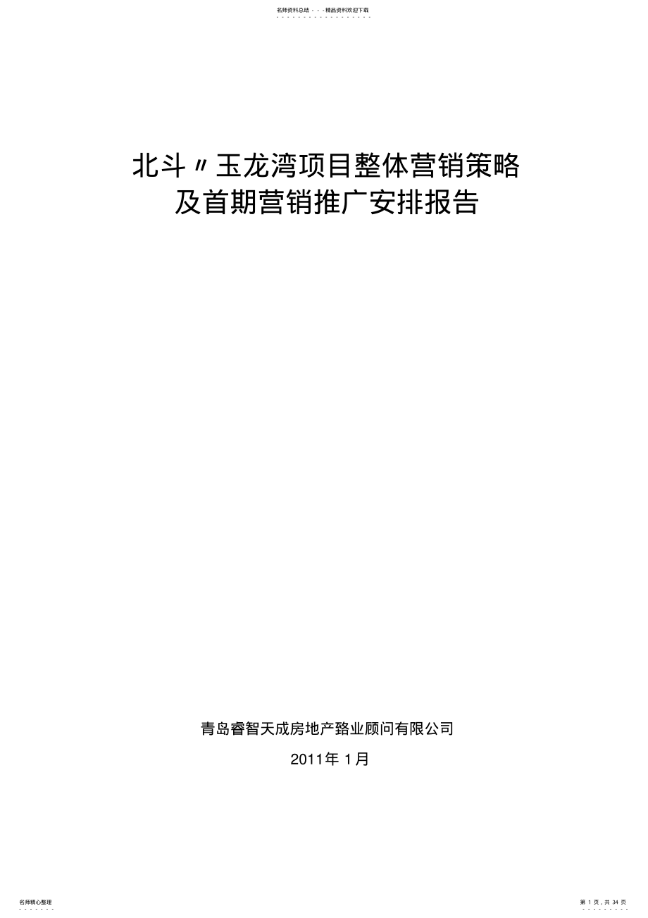 2022年营销策划及推广报告 .pdf_第1页