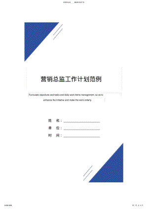 2022年营销总监工作计划范例 .pdf