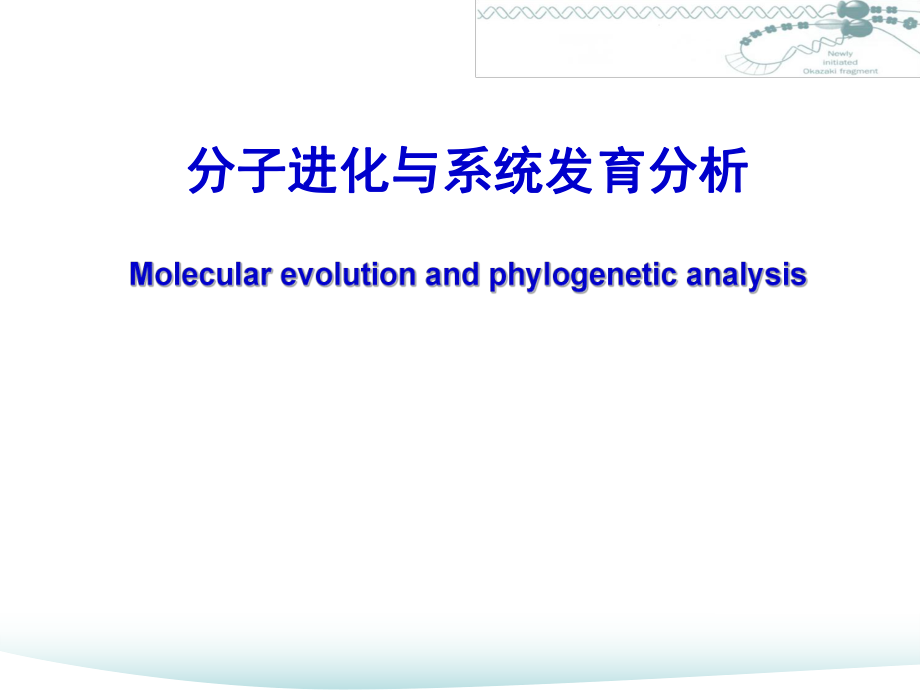 分子进化概况与系统发育分析ppt课件.ppt_第1页