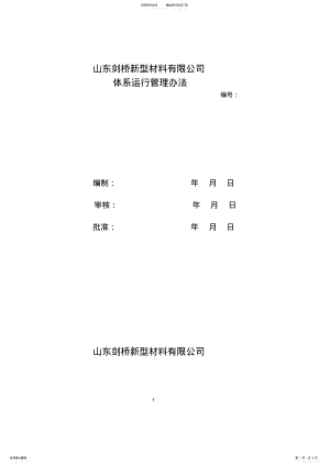 2022年体系运行管理办法 2.pdf