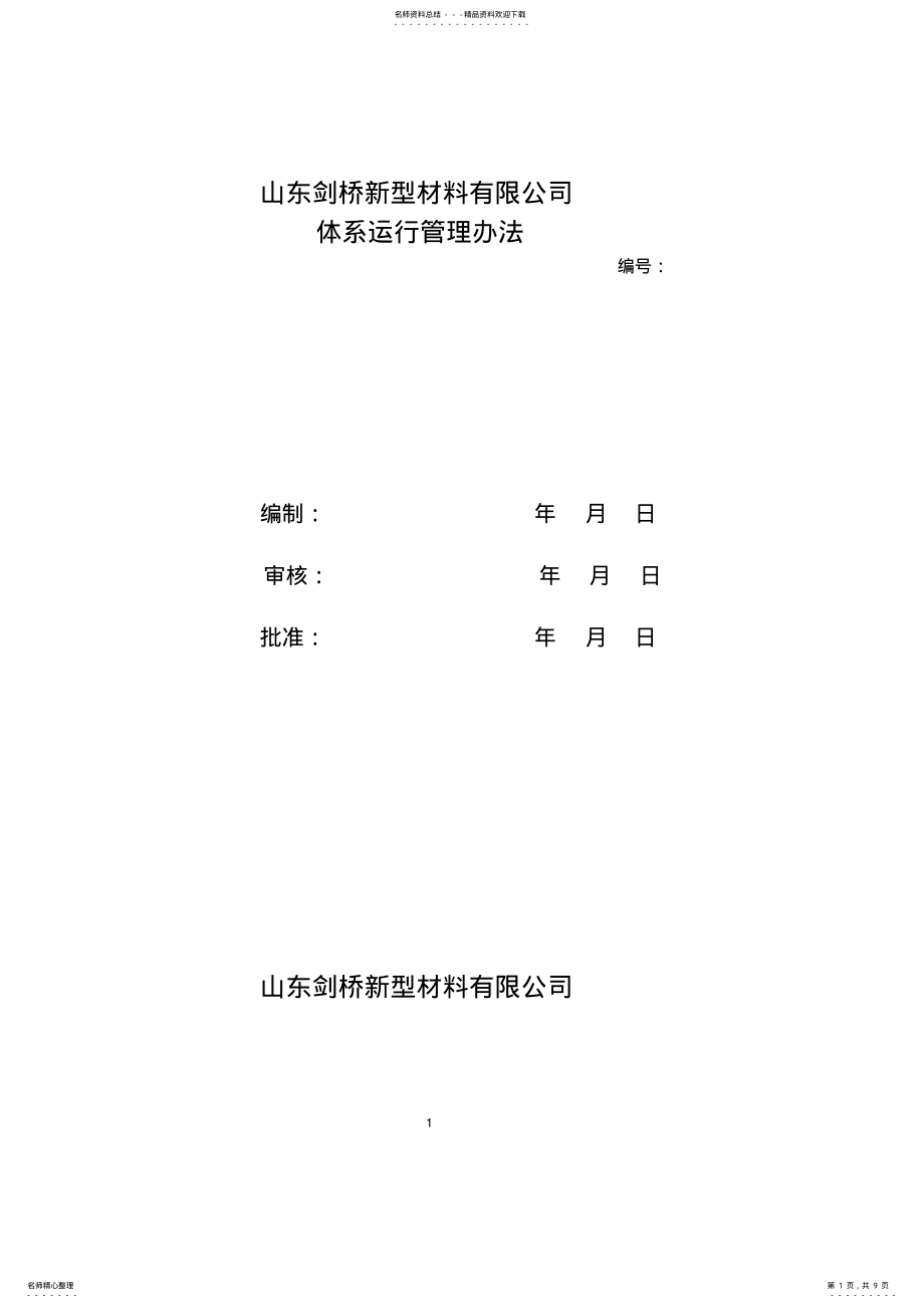 2022年体系运行管理办法 2.pdf_第1页