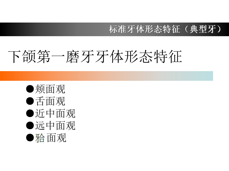 下颌第一磨牙牙体形态简述ppt课件.ppt_第2页