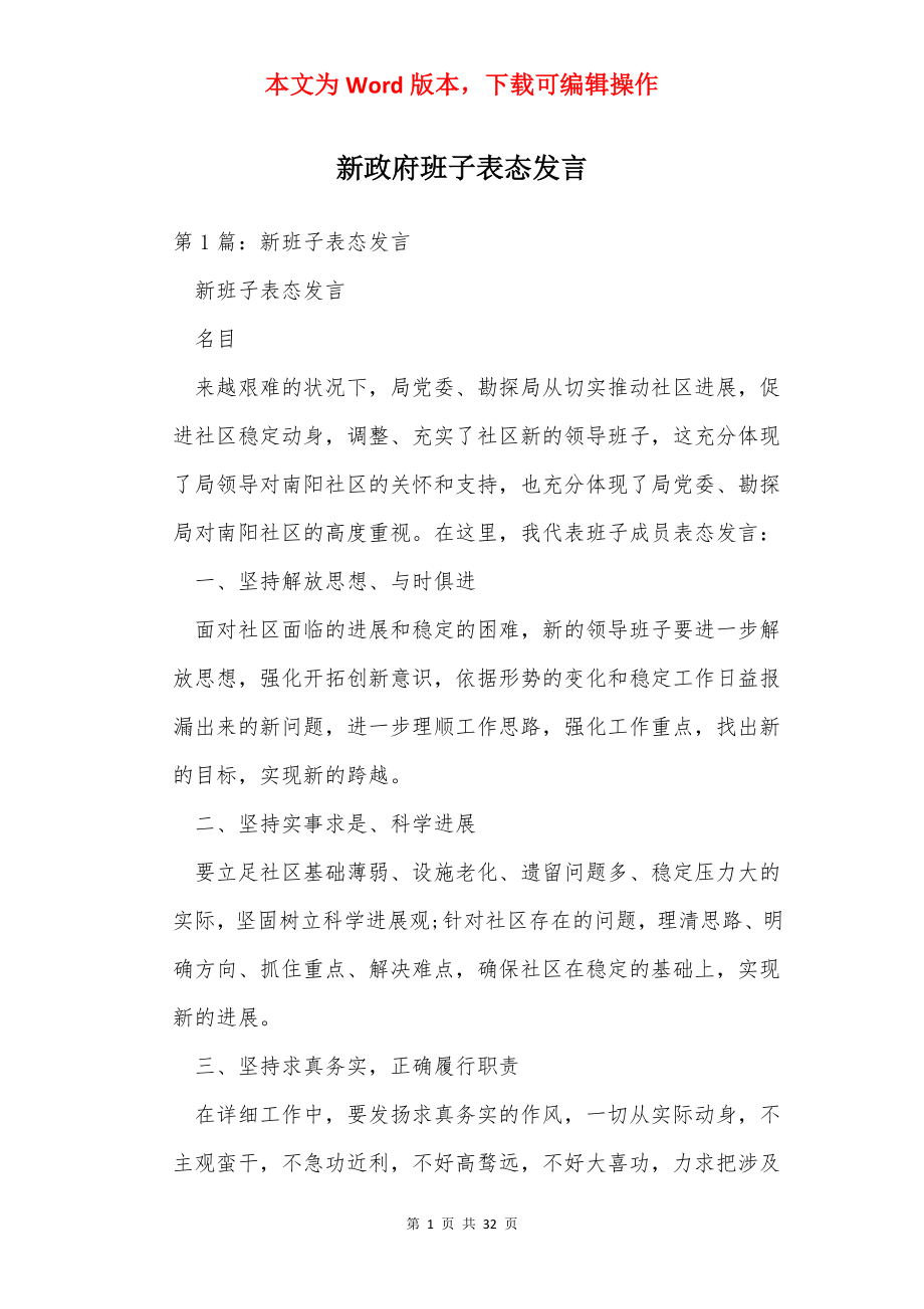 新政府班子表态发言.docx_第1页