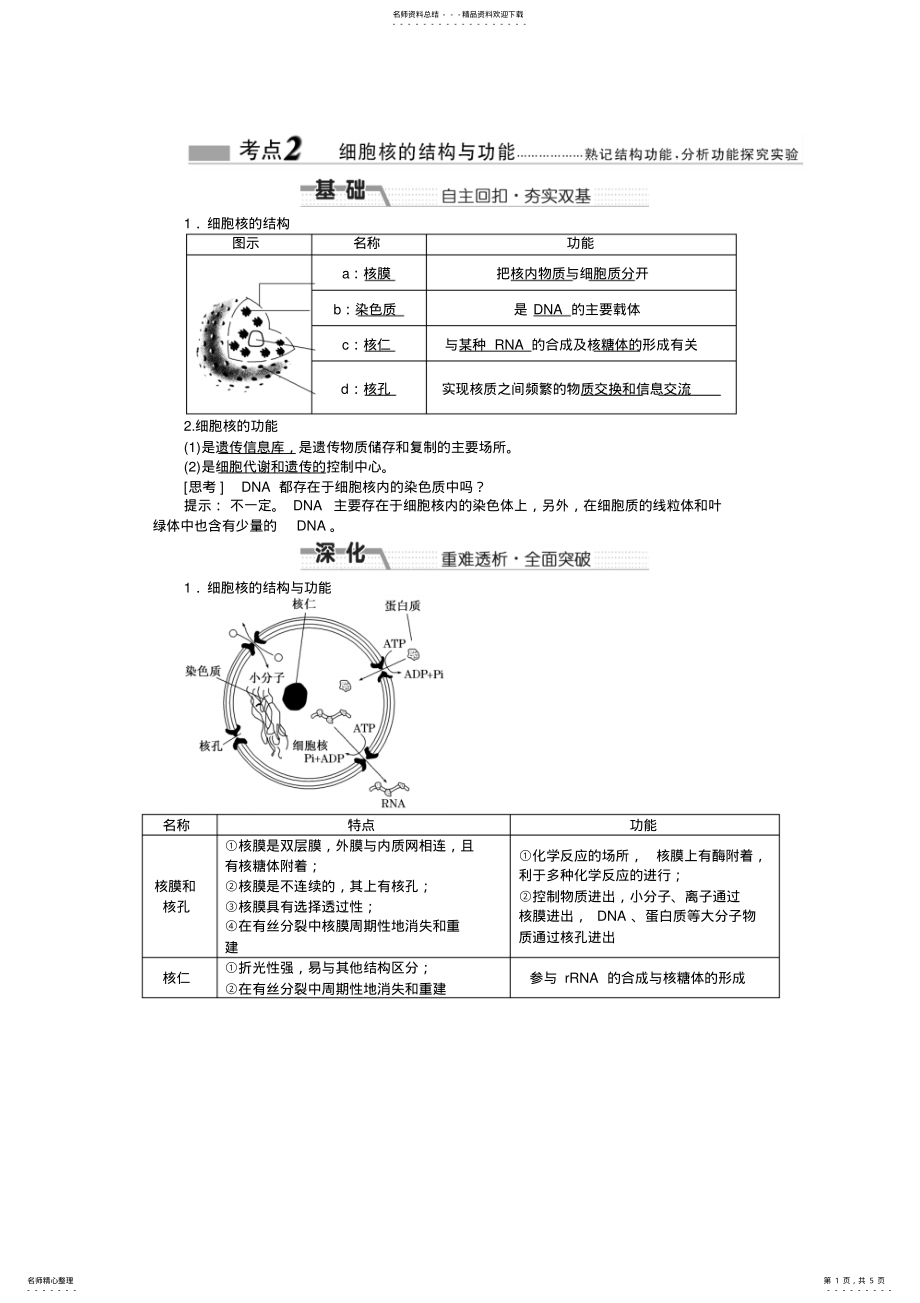 2022年细胞核的结构与功能 .pdf_第1页