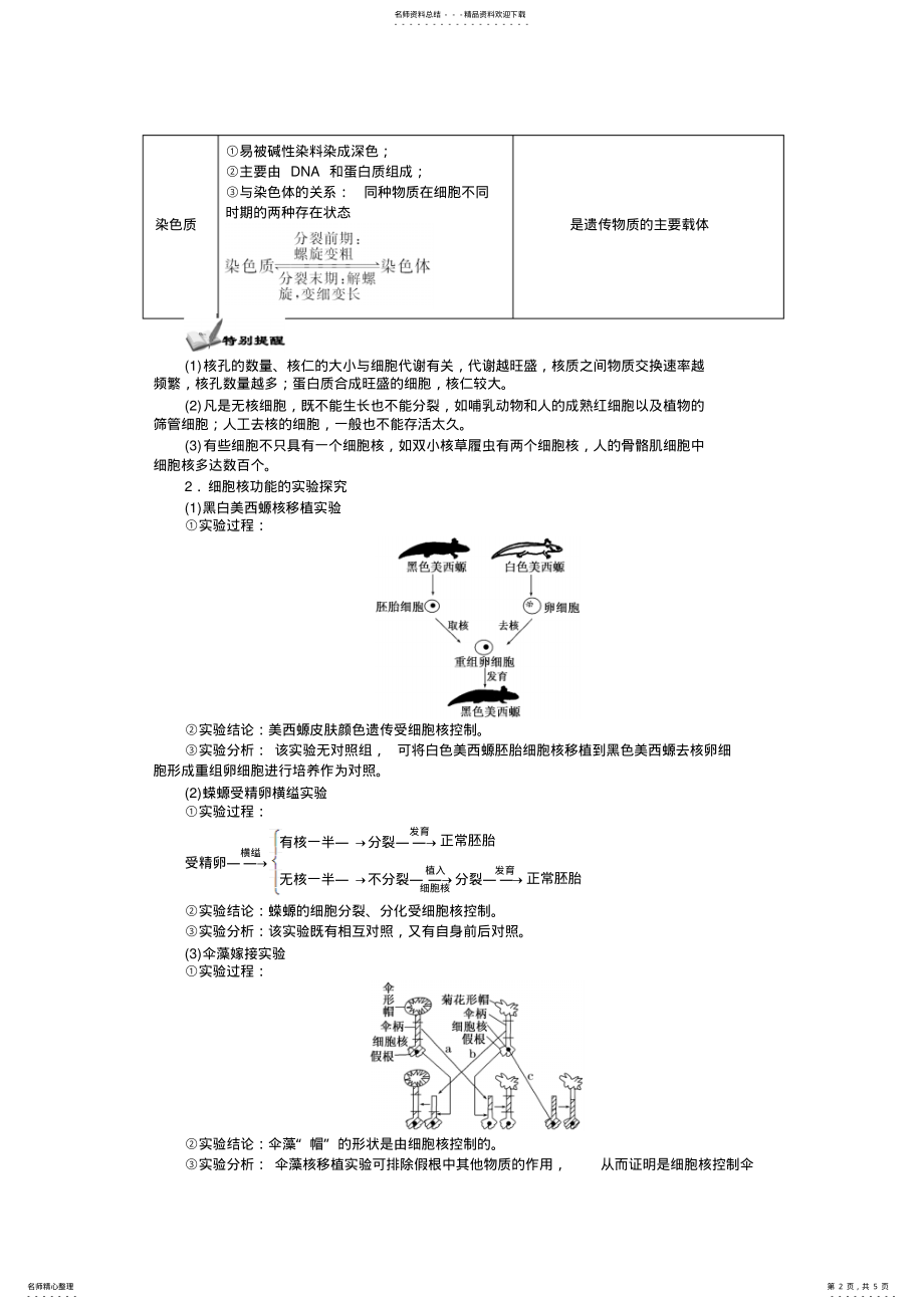 2022年细胞核的结构与功能 .pdf_第2页