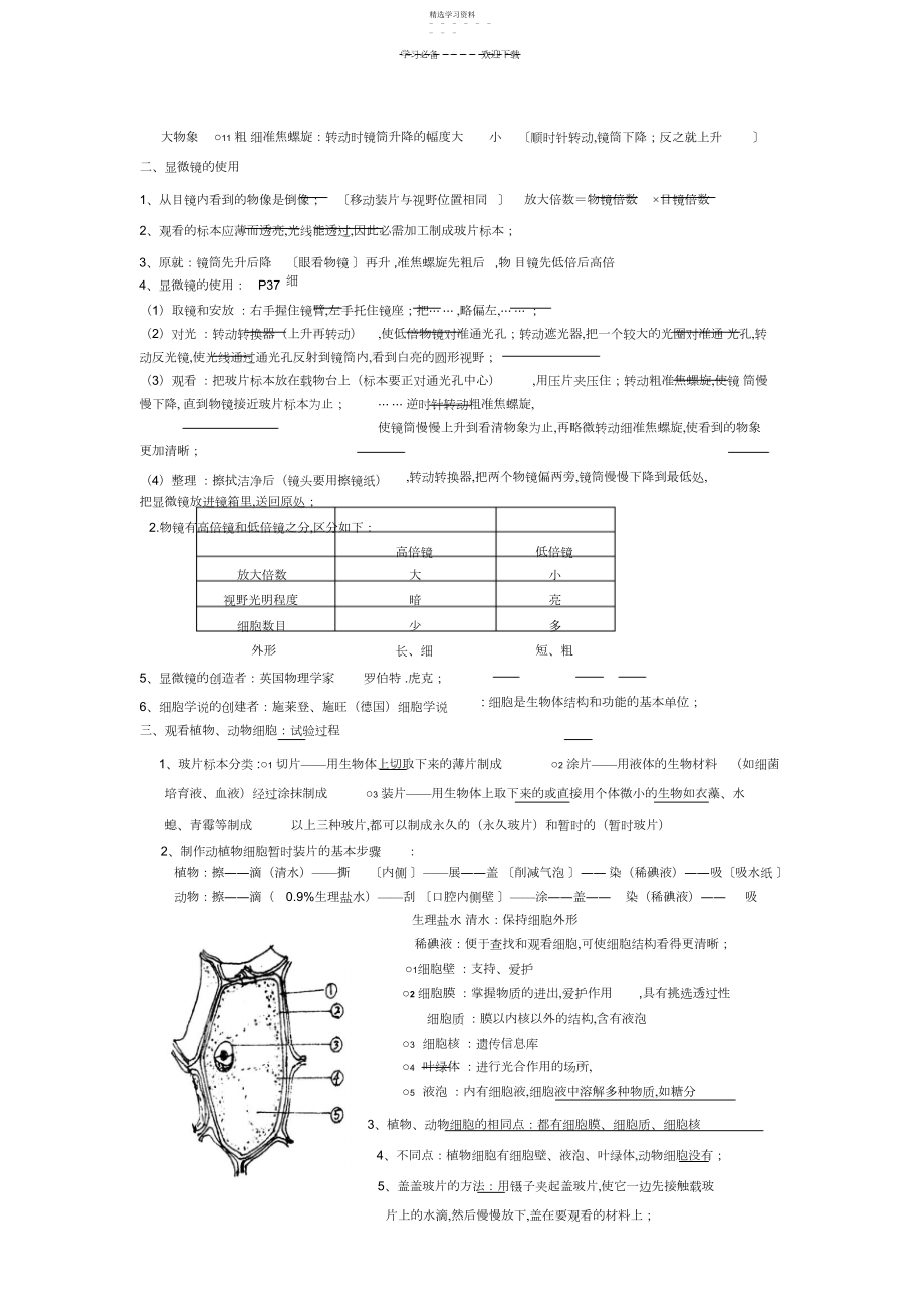 2022年人教版七年级生物上册期末复习提纲.docx_第2页