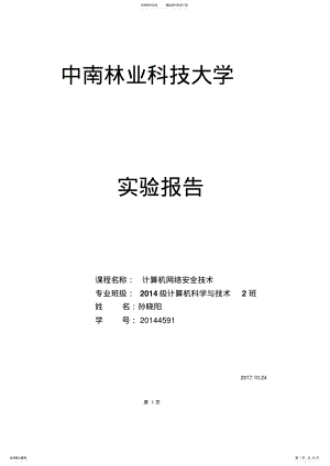 2022年网络安全技术实验报告 .pdf