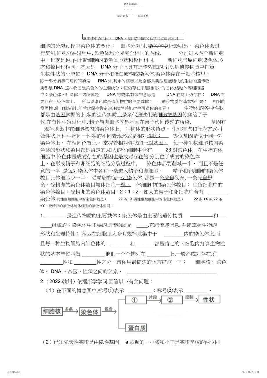 2022年细胞核中染色体DNA基因之间的关系知识点.docx_第1页