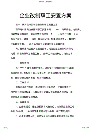 2022年企业改制职工安置方案 2.pdf