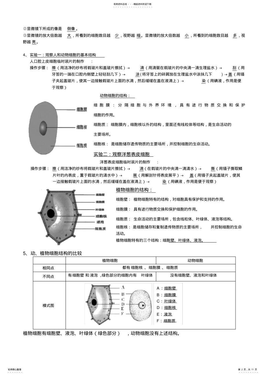 2022年北师大版七年级上册生物复习知识点,推荐文档 .pdf_第2页