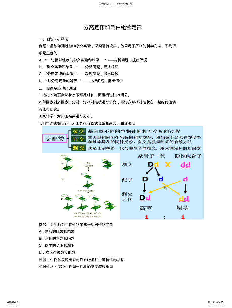 2022年分离定律和自由组合定律 .pdf_第1页