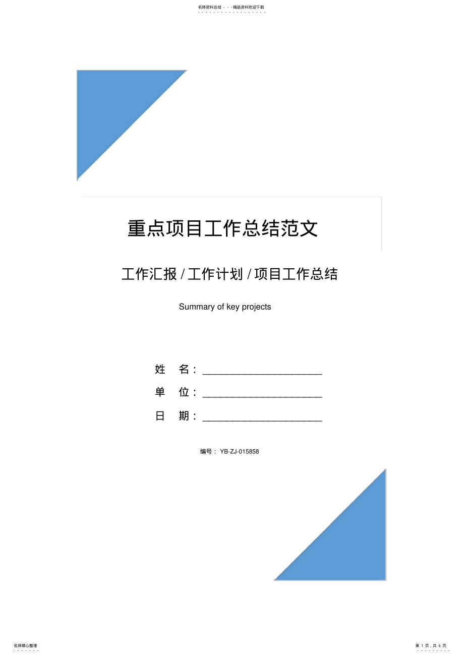 2022年重点项目工作总结范文 .pdf_第1页