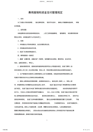 2022年费用报销和资金支付管理规定 .pdf