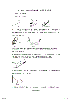 2022年初二物理下册杠杆平衡条件尖子生培优专项训练 .pdf